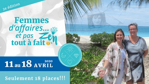 Femmes d'affaire et pas tout à fait Zen 1 - Voyage Sud