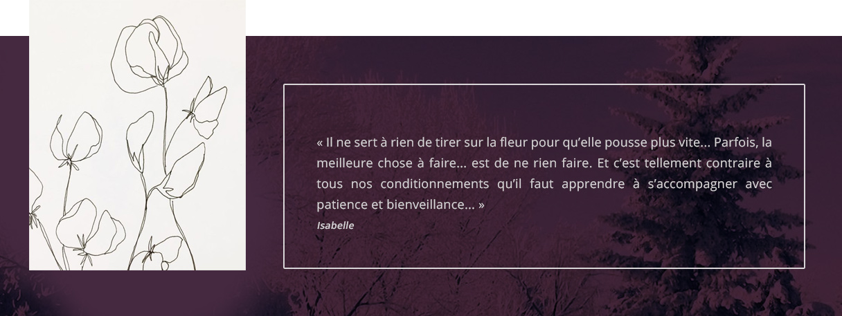 Citation